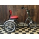 Tříkolka Van Raam Easy Go s elektropohonem VR2R// 02E