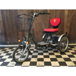 Tříkolka Van Raam Easy Go s elektropohonem VR2R// 02E