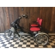 Tandemová tříkolka Van Raam Fun 2 Go s elektropohonem Crystalyte silent 250W // 13E