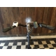 Tříkolka Van Raam Easy Rider - motor VR1F// 24 E