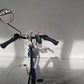Elektrické tříkolové kolo Van Raam Easy Rider motor Crystalyte 36 V 250 W