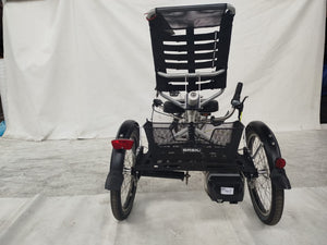Elektrické sportovní  tříkolové kolo Van Raam Easy Sport s motorem VR2F