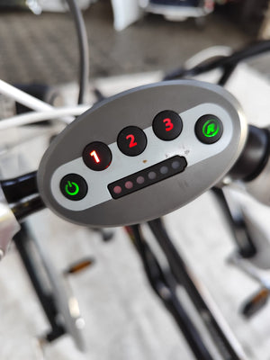 Elektrické tříkolové tandemové kolo Van Raam Fun2Go Crystalite (32E)