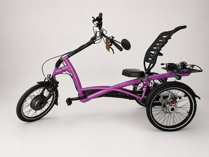 Elektrické tříkolové kolo Van Raam Easy Rider motor VR1F 36V 250W
