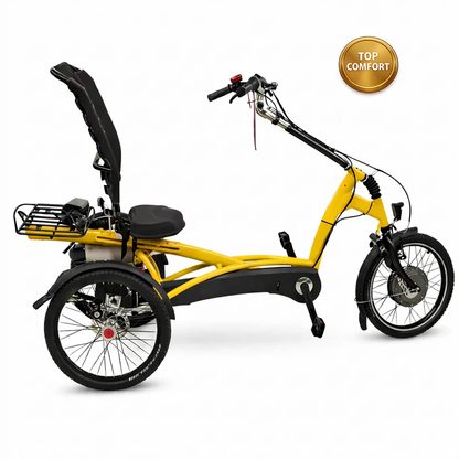 Elektrické tříkolové kolo Van Raam Easy Rider s motorem VR1F 36 V / 250 W