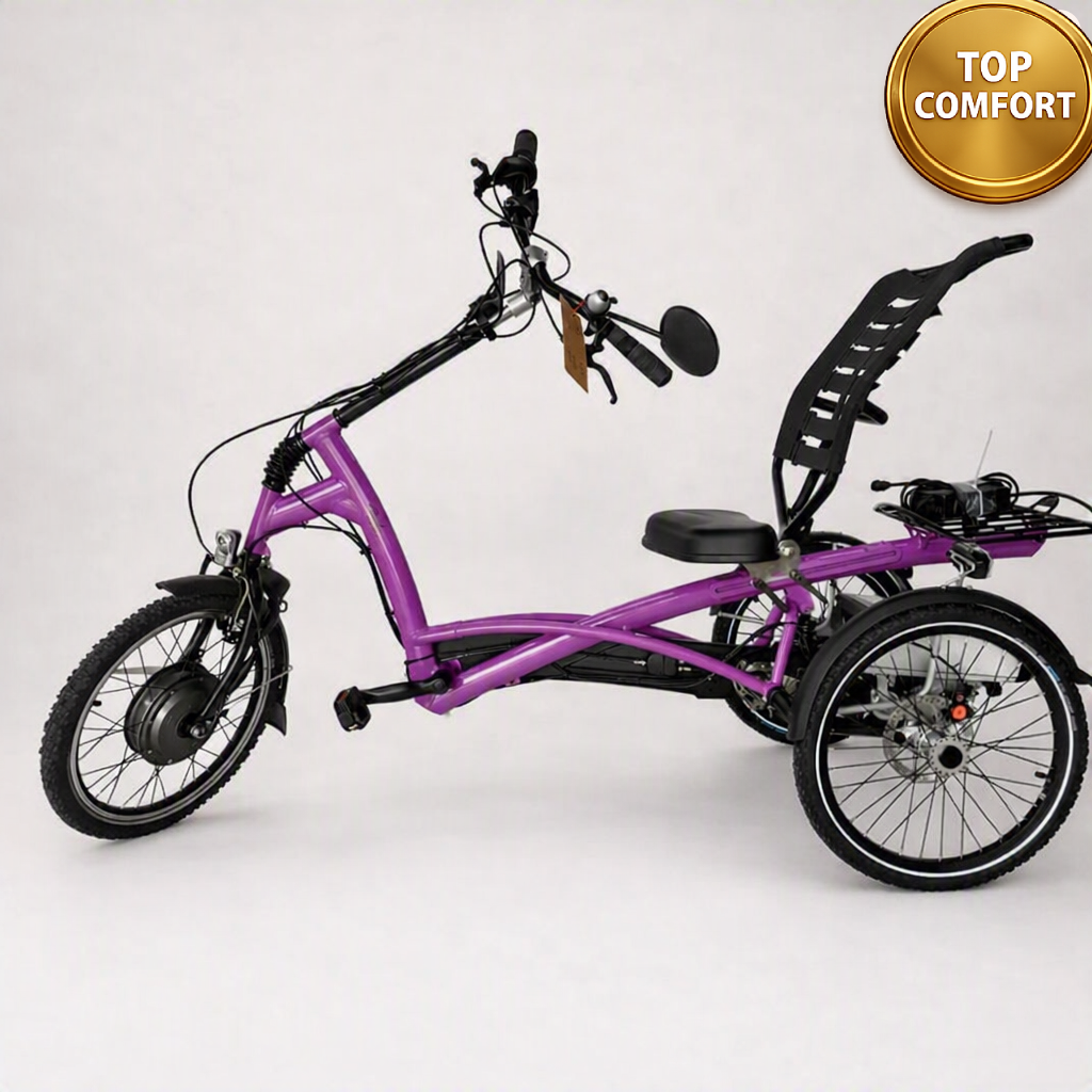 Elektrické tříkolové kolo Van Raam Easy Rider motor VR1F 36V 250W