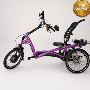 Elektrické tříkolové kolo Van Raam Easy Rider motor VR1F 36V 250W