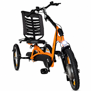 Elektrické tříkolové kolo Van Raam Easy Rider s motorem VR1F 36 V / 250 W kod 50E