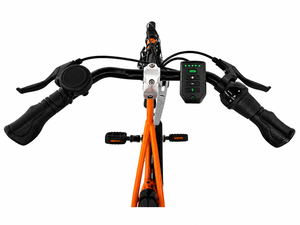 Elektrické tříkolové kolo Van Raam Easy Rider s motorem VR1F 36 V / 250 W kod 50E