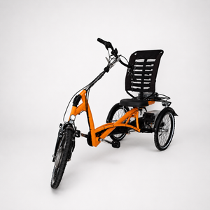 Elektrické tříkolové kolo Van Raam Easy Rider 2 s motorem VR1F 36 V / 250 W