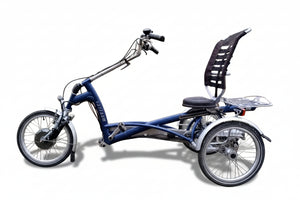 Elektrické tříkolové kolo Van Raam Easy Rider Crystalite