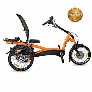 Elektrické tříkolové kolo Van Raam Easy Rider s motorem VR1F 36 V / 250 W kod 50E