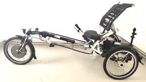Sportovní tříkolka Van Raam Easy Sport motor VR2
