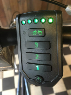 Repasovaný display pro kolo Van Raam