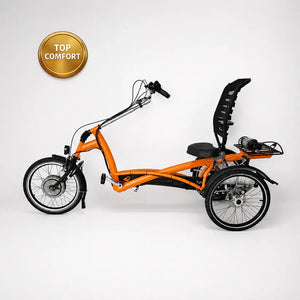 Elektrické tříkolové kolo Van Raam Easy Rider 2 s motorem VR1F 36 V / 250 W