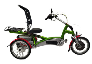 Elektrické tříkolové kolo Van Raam Easy Rider Junior motor VR1F
