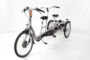 Elektrický tandem Van Raam Twinny Plus – Crystalyte