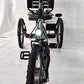 Elektrické tříkolové kolo Van Raam Easy Rider motor VR1F