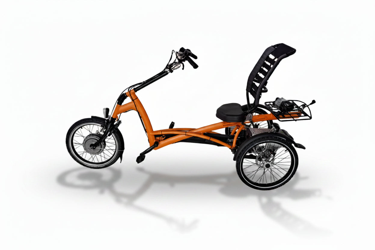 Elektrické tříkolové kolo Van Raam Easy Rider s motorem VR1F 36V, 250W