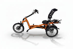 Elektrické tříkolové kolo Van Raam Easy Rider s motorem VR1F 36V, 250W