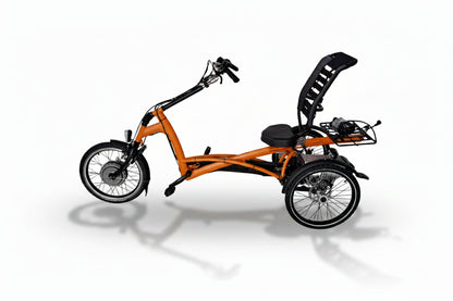 Elektrické tříkolové kolo Van Raam Easy Rider s motorem VR1F 36V, 250W