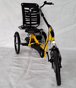 Elektrické tříkolové kolo Van Raam Easy Rider s motorem VR1F 36 V / 250 W