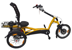Elektrické tříkolové kolo Van Raam Easy Rider s motorem VR1F