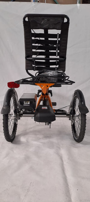 Elektrické tříkolové kolo Van Raam Easy Rider 2 s motorem VR1F 36 V / 250 W kod 48E