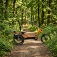 Elektrické tříkolové kolo Van Raam Easy Rider 2 s motorem VR1F 36 V / 250 W