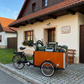 Elektrická nákladní tříkolka s motorem Crystalyte 36 V / 250 W