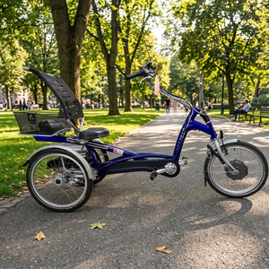 Elektrické tříkolové kolo Van Raam Easy Rider motor Crystalyte 36 V 250 W