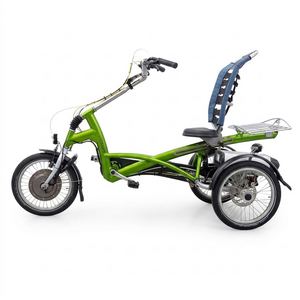 Elektrické tříkolové kolo Van Raam  Easy Rider Junior Motor VR1F
