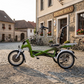 Elektrické tříkolové kolo Van Raam Easy Rider Junior