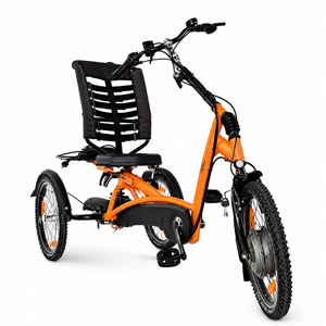 Elektrické tříkolové kolo Van Raam Easy Rider s motorem VR1F 36 V / 250 W kod 49E