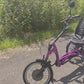 Elektrické tříkolové kolo Van Raam Easy Rider motor VR1F 36V 250W