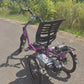 Elektrické tříkolové kolo Van Raam Easy Rider motor VR1F 36V 250W