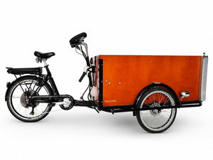 Elektrická nákladní tříkolka s motorem Crystalyte 36 V / 250 W