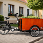 Elektrická nákladní tříkolka s motorem Crystalyte 36 V / 250 W