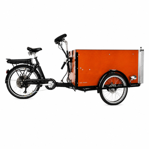 Elektrická nákladní tříkolka s motorem Crystalyte 36 V / 250 W